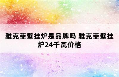 雅克菲壁挂炉是品牌吗 雅克菲壁挂炉24千瓦价格